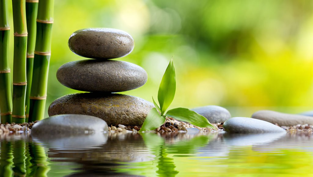 Geštalt-terapiju utemeljili su 40-ih godina 20. stoljeća Fritz i Laura Perls. To je psihoterapijski pristup koji naglašava svjesnost o sadašnjem trenutku i osobnu odgovornost. Polazi od toga da osobu vidi kao cjelinu te da se ona ne može razumjeti izdvojeno iz okoline.